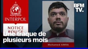 Mohamed Amra, en cavale depuis neuf mois après l'attaque mortelle sur le fourgon qui le transportait, a été arrêté en Roumanie ce samedi 