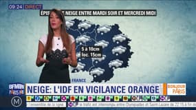 Météo Paris Île-de-France du 29 janvier : Entre 5 à 10 cm de neige prévus