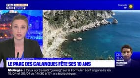 Marseille: le Parc national des Calanques fête ses 10 ans