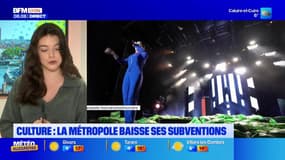 Lyon: la métropole baisse ses subventions dans le secteur de la culture 