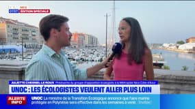Sommet de l'Unoc: les écologistes de Nice partagés