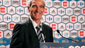 Raymond Domenech ne traînera pas un joueur blessé au Mondial