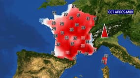 Les températures attendues ce 12 août.