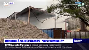 Incendie de Saint-Chamas circonscrit: le maire de la commune pointe la responsabilité de "voyous ou de criminels de l'environnement"