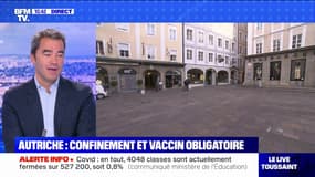 Covid-19: l'Autriche se reconfine et impose la vaccination