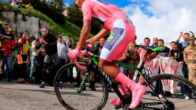 Nairo Quintana (Movistar)