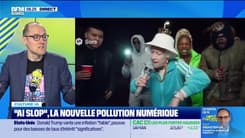 Culture IA : "AI SLOP", la nouvelle pollution numérique, par Anthony Morel - 14/01