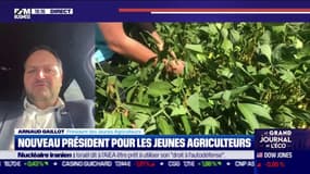 Agriculteurs : "d’ici 5 ans, 50% des agriculteurs seront potentiellement en âge de prétendre à la retraite"