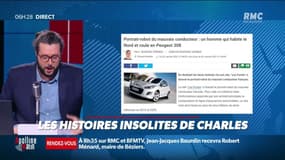 Voici le portrait-robot du mauvais conducteur français 