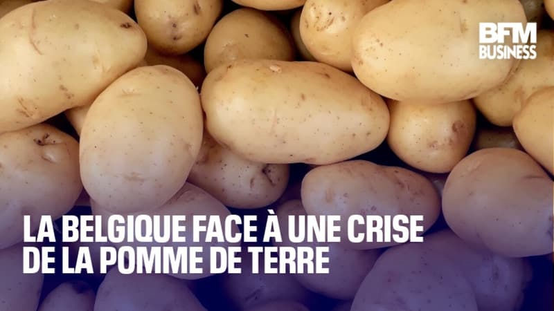 La Belgique face à une crise de la pomme de terre