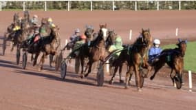 Les pronos hippiques du 15 avril 2024