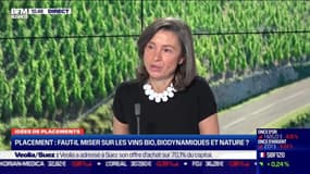 Idée de placements : Faut-il miser sur les vins bio, biodynamiques et nature ? - 07/01