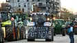 Manifestation d'agriculteurs de la FNSEA et de la Coordination rurale contre l'accord de libre-échange UE-Mercosur, le 18 novembre 2024 à Strasbourg, dans le Bas-Rhin