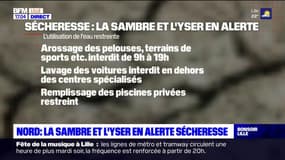 Nord: les bassins de la Sambre et de l'Yser placés en alerte sécheresse