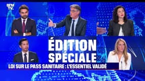 Story 1 : La loi sur le pass sanitaire en partie validée par le Conseil constitutionnel - 05/08