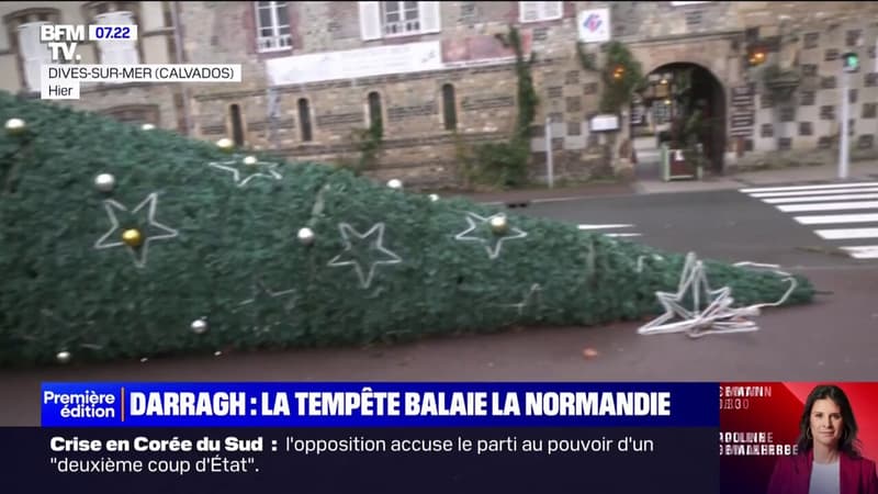 Sapins au sol, sable dans les rues... Les images des dégâts causés par la tempête Darragh en Normandie