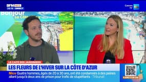 Bonjour la Côte d'Azur du lundi 15 décembre 2025