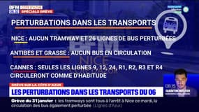 Grève du 31 janvier: les perturbations dans les transports des Alpes-Maritimes
