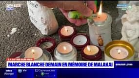 La Seyne-sur-Mer: une marche blanche en hommage à Malakai