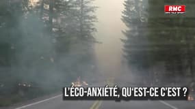 Trois jeunes sur quatre souffrent d'éco-anxiété, ça veut dire quoi ?