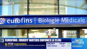 Eurofins : Muddy Waters enfonce le clou 