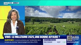 Le coffre-fort : Vins, le millésime 2025... une bonne affaire ? - 01/10