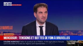 RADAR BFM - Le vrai du faux sur le Mercosur 