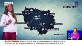 Météo Paris-Ile de France du 8 février: Des températures glaciales