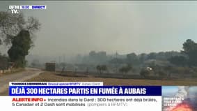 Incendies dans le Gard: déjà 300 hectares partis en fumée à Aubais