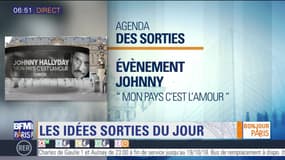 Sortir à Paris : L'album posthume de Johnny Hallyday "Mon pays c'est l'amour" sort ce jour