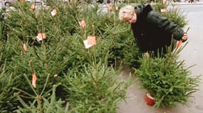 Vente de sapins de Noël (illustration)