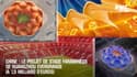 Chine : Le projet de stade faramineux de Guangzhou Evergrande (à 1,5 milliard d'euros)