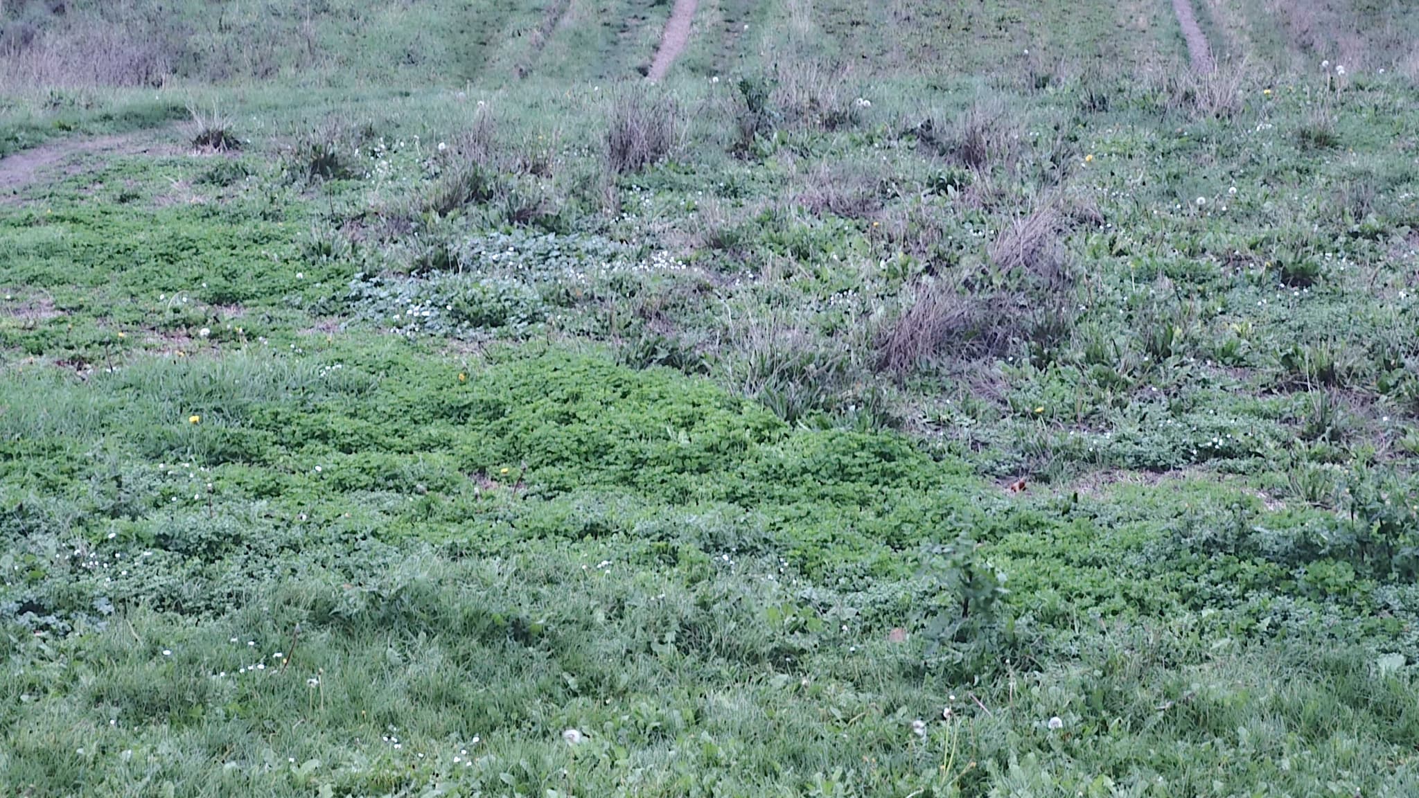 Avec le zoom, les photos perdent en qualité.