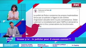 Insultes : le policier peut-il encore exercer ? - 16/02
