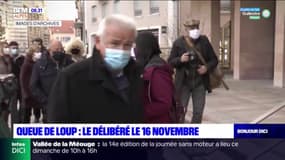Queue de loup : la cour d'appel de Grenoble rendra son délibéré le 16 novembre 