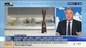 Poivrier anti-wifi, lampe caméléon, robot émotif: Nos nouveaux compagnons domestiques