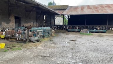 Une ferme en Seine-et-Marne