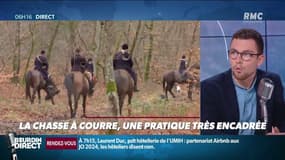 Femme enceinte tuée par des chiens : pourtant très encadrée, la chasse à courre vivement mise en cause