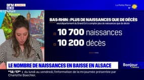 La baisse de la natalité moins forte en Alsace que dans le reste du Grand Est