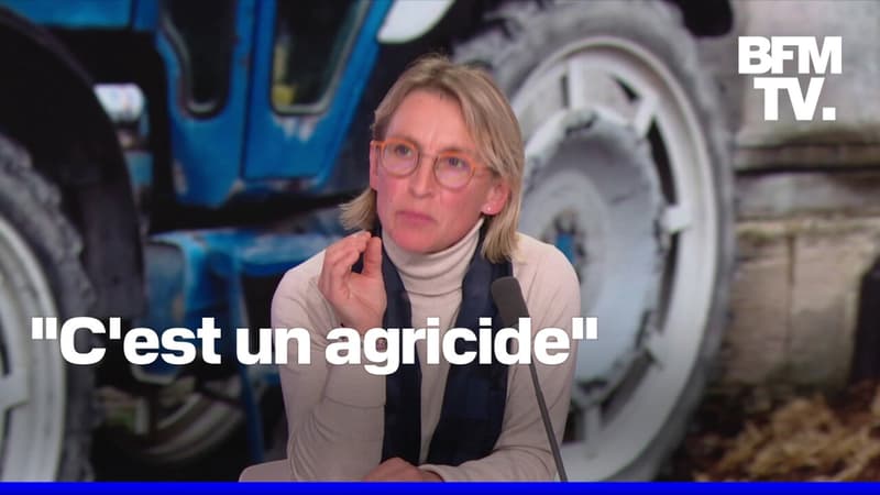 Crise agricole: l'interview de Véronique Le Floc'h (Coordination rurale) en intégralité