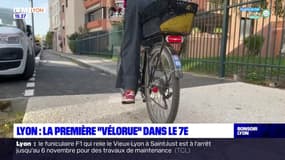 Lyon : la première "vélorue" dans le 7e