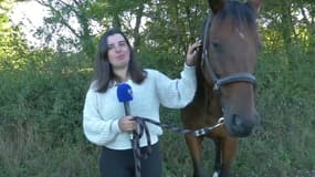 Eloïse Lang, propriétaire d'un cheval mutilé en Loire-Atlantique.