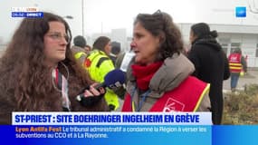 Boehringer Ingelheim : mouvements de grève ce jeudi à Lyon, Saint-Priest et Saint-Vulbas