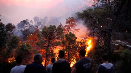 Un violent incendie de forêt dans le nord d'Israël a fait au moins 40 morts jeudi dans le massif du Carmel, près de Haïfa. Plus de 12.000 habitants ont été évacués de villes et villages des environs, 2.800 hectares ont d'ores et déjà été dévastés dans cet