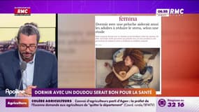 On n'a pas osé vous en parler : Dormir avec un doudou serait bon pour la santé - 01/02