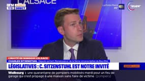 "Je souhaite faire l'union": le député sortant Charles Sitzenstuhl candidat à sa réélection dans le Bas-Rhin