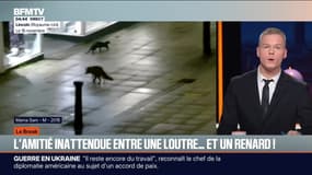 Le break du lundi 1er décembre