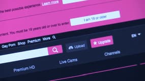 Les sites pornographiques sont accusés de laxisme dans la vérification de l'âge de leurs visiteurs. 