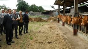 Lors d'un déplacement en Charente, Nicolas Sarkozy (ici en visite dans la ferme de deux éleveurs à Montemboeuf) a annoncé jeudi plus de 500 millions d'euros d'aides supplémentaires pour les agriculteurs victimes de la sécheresse et un plan à moyen terme d