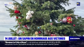 Nice: un sapin de Noël en hommage aux victimes de l'attentat du 14 juillet 2016